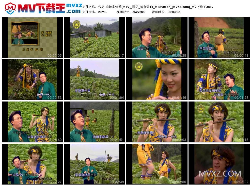 佚名-山地多情花(MTV)_国语_流行歌曲_MB300687